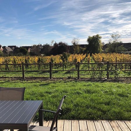 Domaine Rosfelder - Locations De Gite Et Cabane Insolite Gertwiller Exterior photo