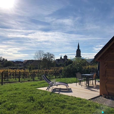 Domaine Rosfelder - Locations De Gite Et Cabane Insolite Gertwiller Exterior photo