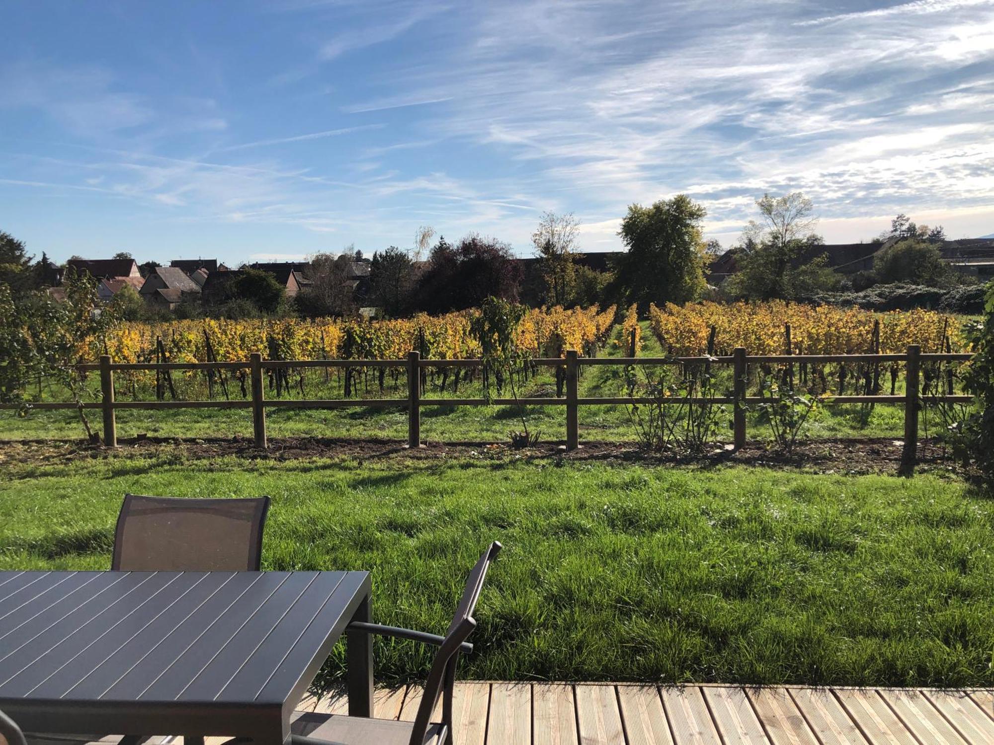 Domaine Rosfelder - Locations De Gite Et Cabane Insolite Gertwiller Exterior photo