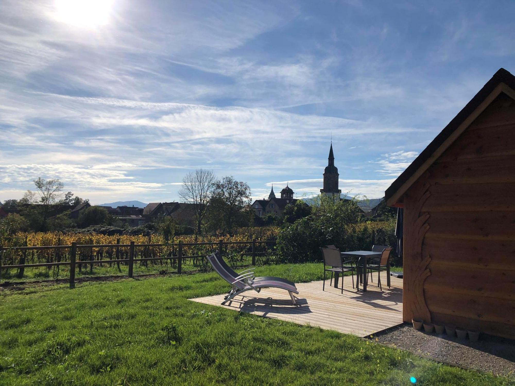 Domaine Rosfelder - Locations De Gite Et Cabane Insolite Gertwiller Exterior photo
